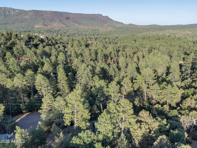 6829 W ROBBIN Lane, Pine, AZ 85544