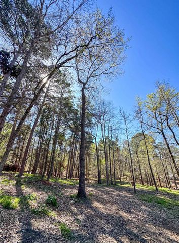 255 Lakeside Place, Avinger, TX 75630