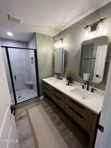 115 Red Tail Ridge, Greeneville, TN 37743