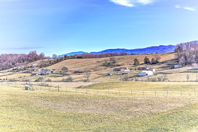 115 Red Tail Ridge, Greeneville, TN 37743