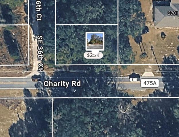 SE 36TH CT, Summerfield, FL 34491