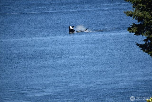 2142 Island Drive NW, Olympia, WA 98502