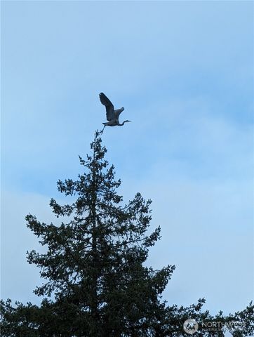 2142 Island Drive NW, Olympia, WA 98502