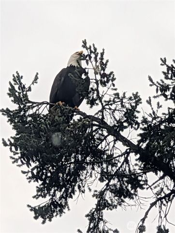 2142 Island Drive NW, Olympia, WA 98502