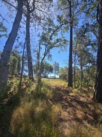 7145 Stewart Mine Rd, Placerville, CA 95667
