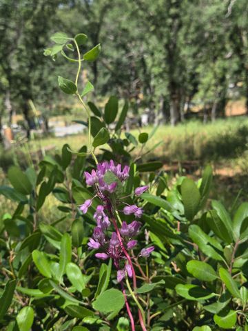 7145 Stewart Mine Rd, Placerville, CA 95667