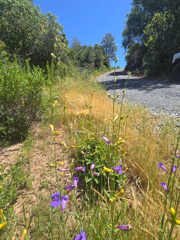 7145 Stewart Mine Rd, Placerville, CA 95667