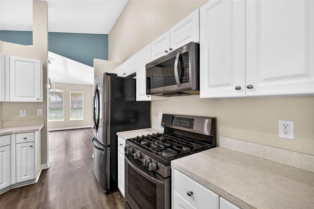 15826 STAGS LEAP DRIVE, Lutz, FL 33559