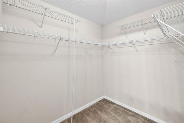 15826 STAGS LEAP DRIVE, Lutz, FL 33559