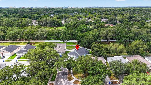 15826 STAGS LEAP DRIVE, Lutz, FL 33559
