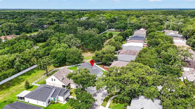 15826 STAGS LEAP DRIVE, Lutz, FL 33559