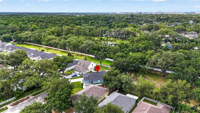 15826 STAGS LEAP DRIVE, Lutz, FL 33559