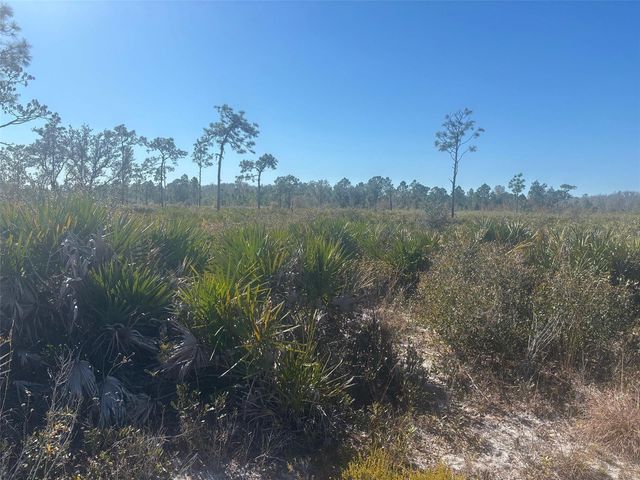 0 Xeriscape Nursery Road, Frostproof, FL 33898