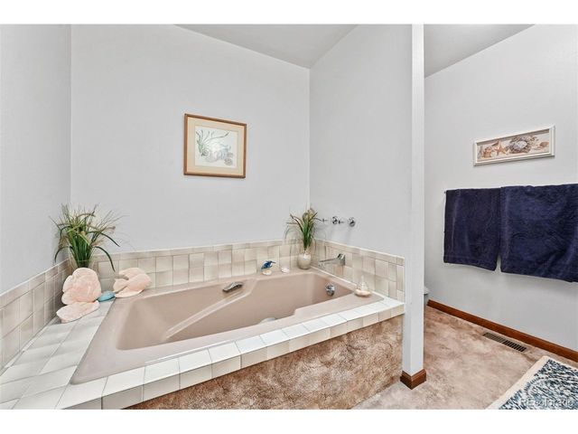 901 CR 64, Bailey, CO 80421