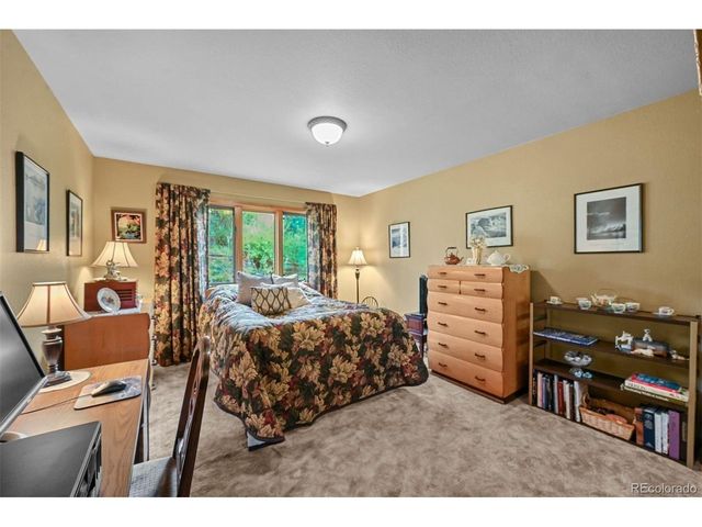 901 CR 64, Bailey, CO 80421