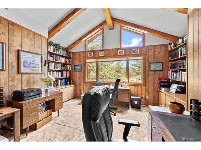 901 CR 64, Bailey, CO 80421