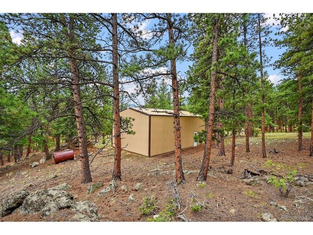 901 CR 64, Bailey, CO 80421