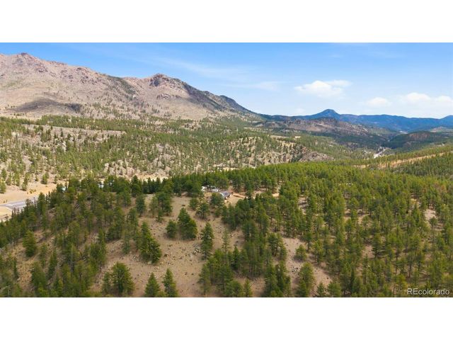 901 CR 64, Bailey, CO 80421
