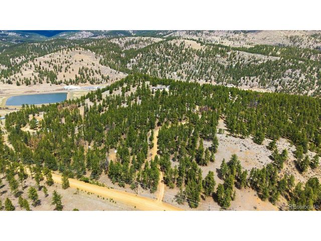 901 CR 64, Bailey, CO 80421