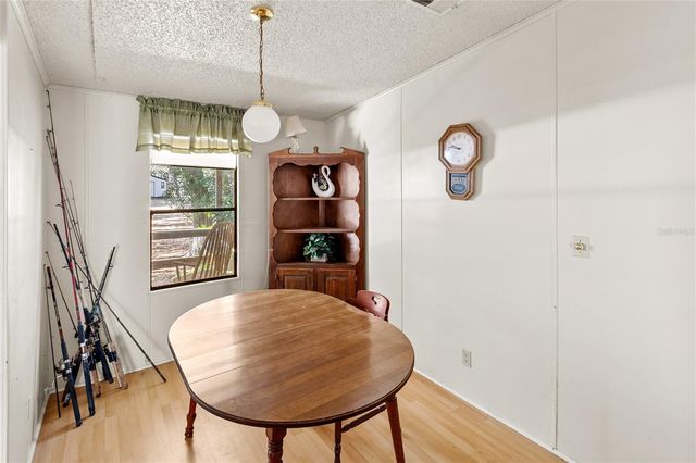 13711 NE 247TH COURT, Fort Mc Coy, FL 32134