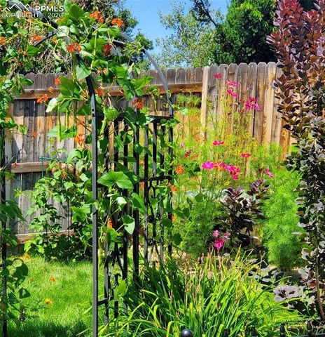 5680 Whimsical Drive, Colorado Springs, CO 80917