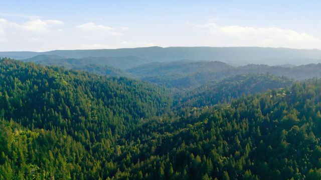 18836 Favre Ridge Road, Los Gatos, CA 95033