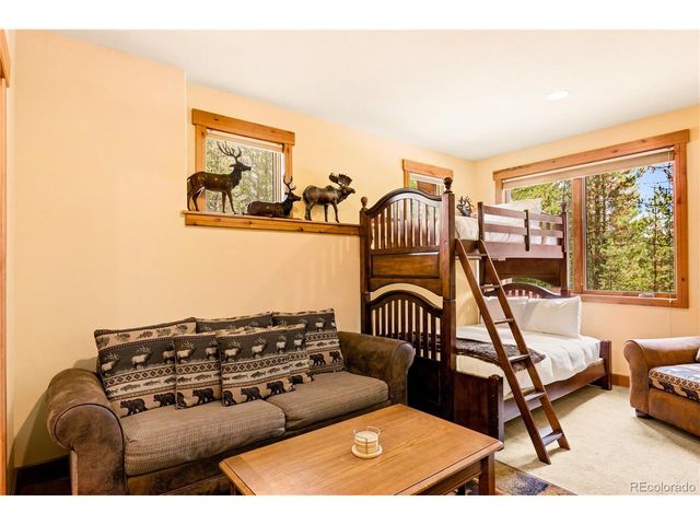 91 Snowshoe Cir, Breckenridge, CO 80424