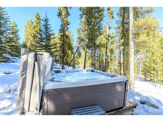 91 Snowshoe Cir, Breckenridge, CO 80424