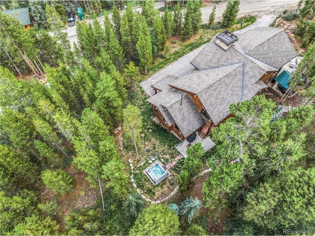 91 Snowshoe Cir, Breckenridge, CO 80424
