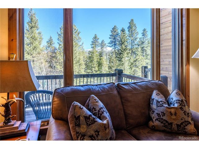 91 Snowshoe Cir, Breckenridge, CO 80424