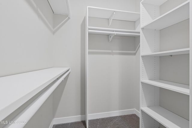 13649 River Grove Lane, Olive Branch, MS 38654