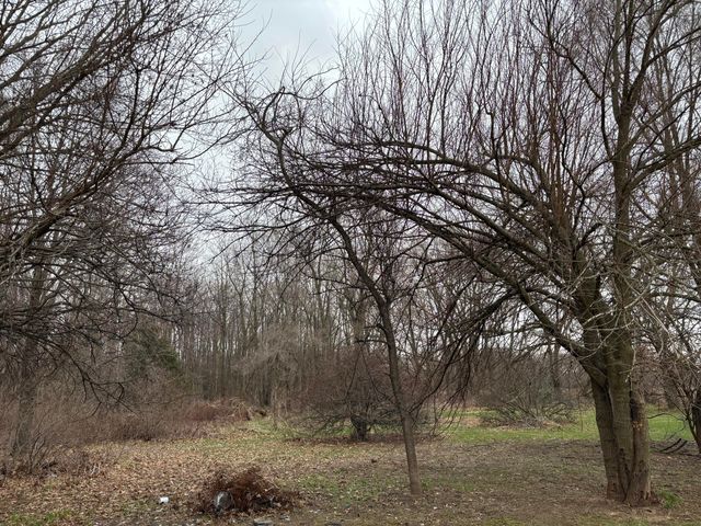 17932 Indian Prairie Road, White Pigeon, MI 49099