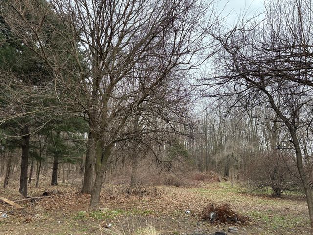 17932 Indian Prairie Road, White Pigeon, MI 49099