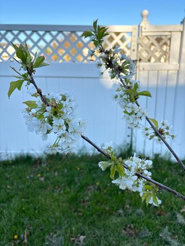 846 Executive Boulevard, Delaware, OH 43015