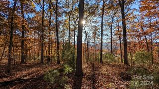 512 Wild River Run 65, Marshall, NC 28753