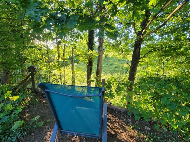 385 92nd Street, Byron Center, MI 49315