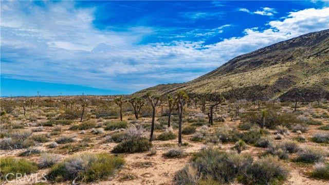 55455 Pipes Canyon, Pioneertown, CA 92268