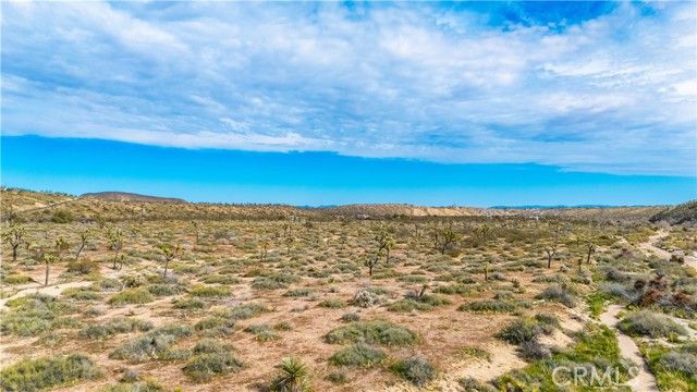 55455 Pipes Canyon, Pioneertown, CA 92268