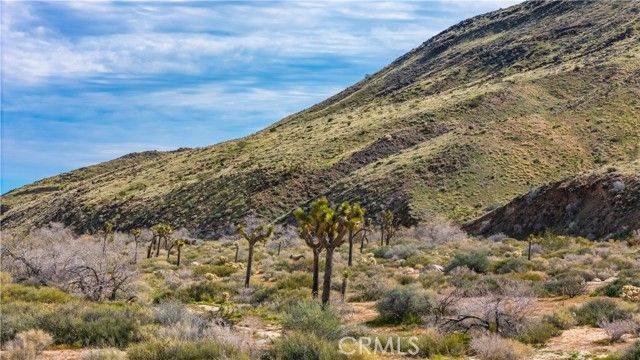 55455 Pipes Canyon, Pioneertown, CA 92268