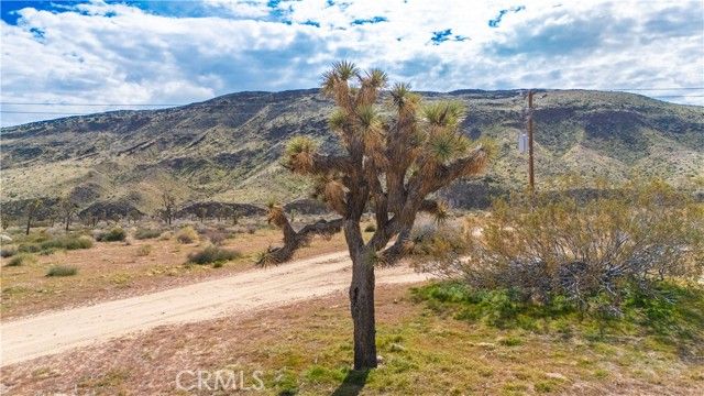 55455 Pipes Canyon, Pioneertown, CA 92268