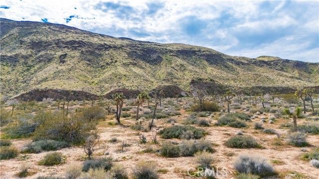 55455 Pipes Canyon, Pioneertown, CA 92268
