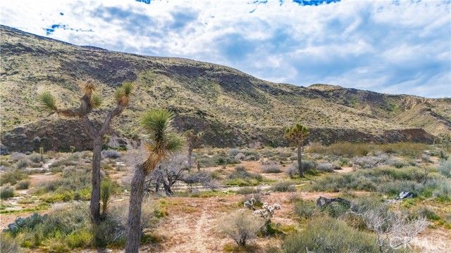 55455 Pipes Canyon, Pioneertown, CA 92268