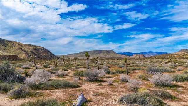 55455 Pipes Canyon, Pioneertown, CA 92268