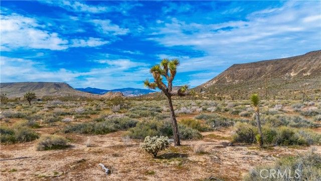 55455 Pipes Canyon, Pioneertown, CA 92268