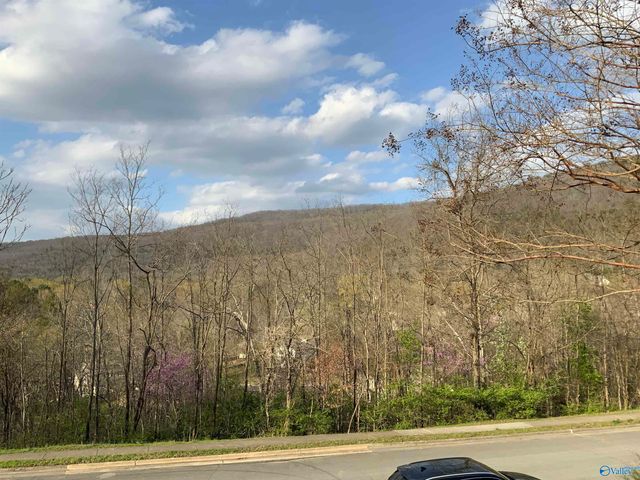 3014 Box Canyon Road, Huntsville, AL 35803