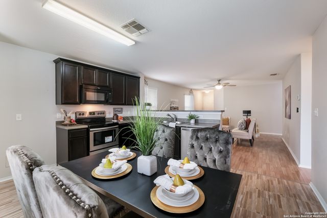 25019 Cambridge Well, San Antonio, TX 78261