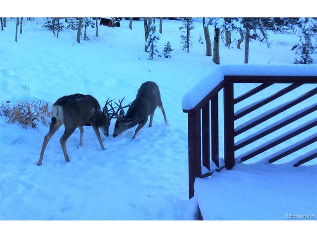 9228 Black Mountain Dr, Conifer, CO 80433