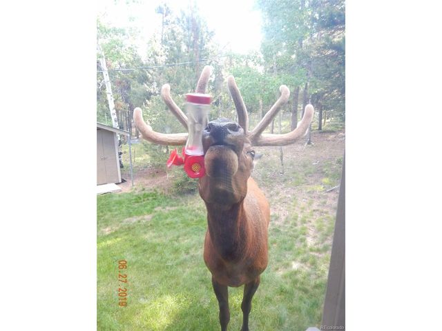 9228 Black Mountain Dr, Conifer, CO 80433