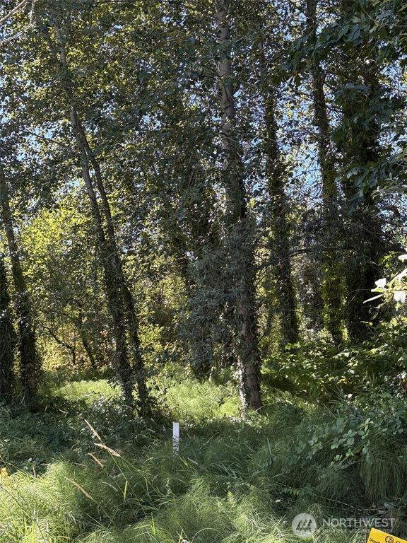 8826 3rd Avenue S, Seattle, WA 98108