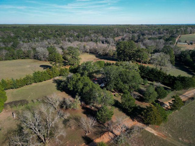 1549 County Road 1650, Grapeland, TX 75844